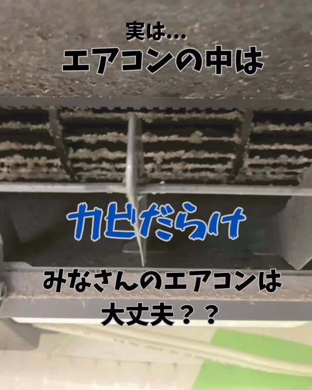 エアコン内部のカビ・ホコリ